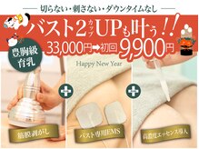 美人バスト 静岡店