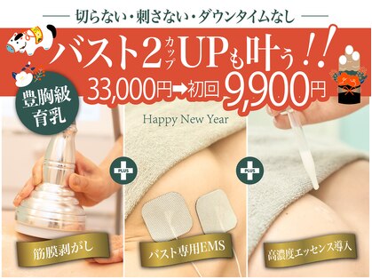 美人バスト 静岡店の写真