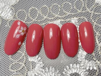 リラ(RIRA)/シンプルコース5300円