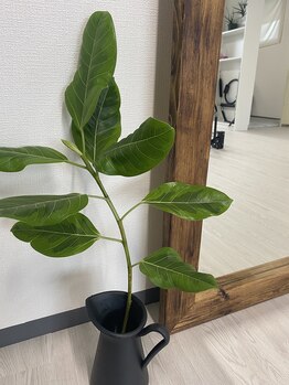 ウル(ulu)/マシンピラティススタジオ雰囲気