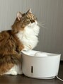 グルービー 新宿西口&nbsp;Cat
