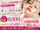 ヴィヴァン(Vivant)の写真