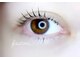 フルミアイラッシュ(fourmi eyelash)の写真