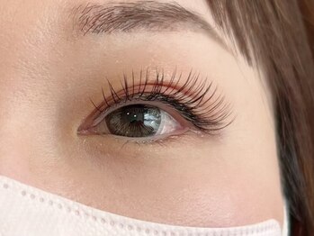 テクニコ(tecnico)/マツエク*フラットラッシュ120本