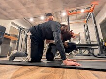 フューチャー(FUTURE)/キャット＆ドッグ