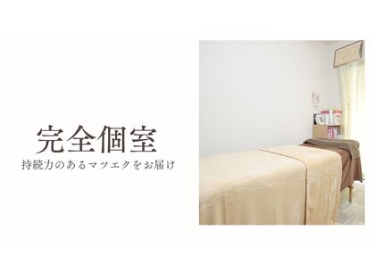 シェリ(SHERI)の写真