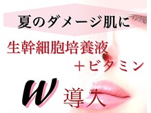 クローネ(Krone)/Kroneフェイシャル人気NO.1