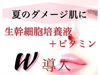 クローネ(Krone)/Kroneフェイシャル人気NO.1