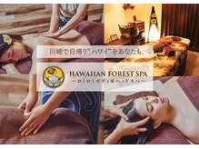 ハワイアンフォレストSpa 京急川崎店
