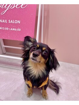 エリゼ(Elysee)の写真/【ワンちゃん同伴OK】愛犬と一緒にリラックスサロンタイム♪完全プライベート空間