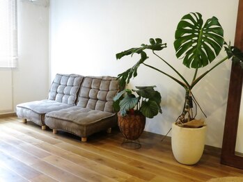 マグワート 加古川店(Mugwort)/3.緑溢れるカウンセリングルーム