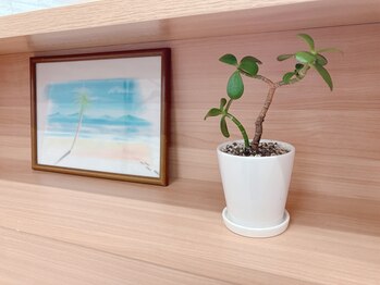 エクティブ整体院/green【春日市/整体/腰痛/骨盤】