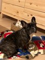 アロマヒーリング 恵比寿店 動物大好きです♪