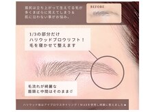 エクリュ アイラッシュ(ecru eyelash)/悩み別ハリウッドブロウリフト
