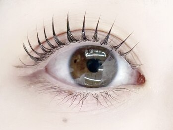 デイジー バイ アルテフィーチェ 梅田(daisy by artefice)/束感まつ毛パーマ♪