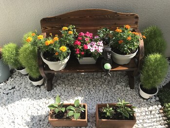 にしざわ整体院/店内からご覧くださいね!