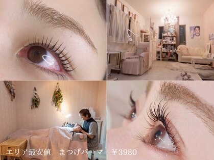 エンジェル(Angel)の写真