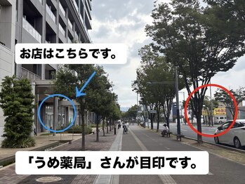 ビビット 久宝寺店(VIVIT)/久宝寺/エステ/アイブロウ/