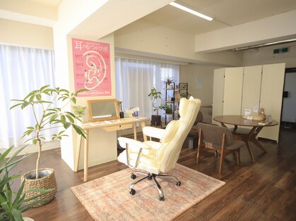 リノ(Lino)の写真