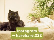 晴々/Instagramもぜひご覧ください！