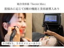 ひなた(salon)の雰囲気（お肌悩みに合わせて8種類の機能、導入美容液あり）