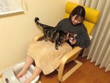 リクらむ/看板猫ラムとのふれあいタイム１