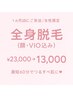 【1ヶ月以内再来限定】全身脱毛(顔・VIO込み)　￥23,000⇒ ￥13,000