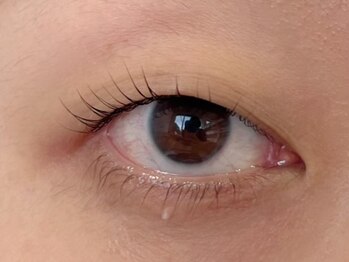 カフェアンドビューティー エスト(cafe&beauty est)/ラッシュリフト