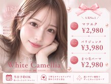 ホワイトカメリア 梅田茶屋町店(White Camellia)