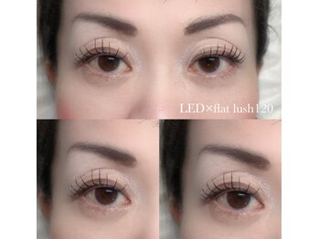 アイリー(Eyelie)/LED×フラットラッシュ120本