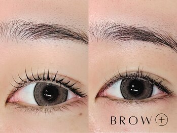 ブロウタス 新丸子店(BROW+)/まつげパーマ