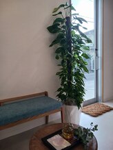 グランシー(GRANDSEA)/満月月桃茶のおもてなし