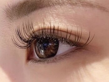 サッシーラッシュ(SASSY LASH)/PERFECT LASH