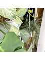 ラキ(Laki)&nbsp;家の植物棚