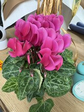 セントラル保谷治療院/