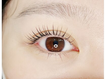 カラー(KOLOR)の写真