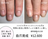 アンベリール(embellir.)