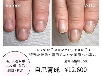 アンベリール(embellir.)の写真