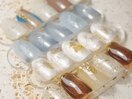 定額｜シーズンコース(summer.)