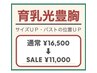 【6/1～6/30 来店限定！】Motto式バストケア¥17,600→¥11,000
