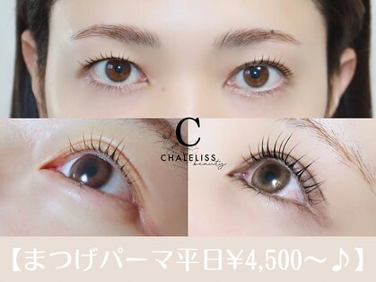 シャルリス(CHALELISS)の写真