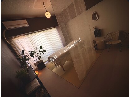 ヒーリングバード(healingbird)の写真