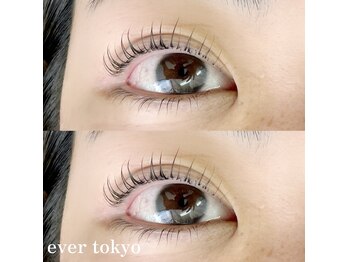 エバートーキョー(ever tokyo)/◎上下ラッシュリフト