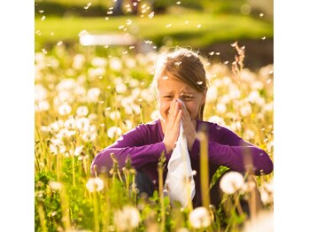 ローリエ/花粉症対策