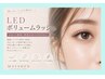 【ふんわり密度】LEDボリュームラッシュ120～140束アイシャンプー込￥8980