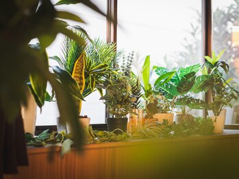 オデラ 小山店(AUDELA)/AUDELA