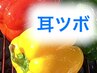 【2回目以降の方 限定】 耳ツボ美容鍼40分 11000円 → 9900円