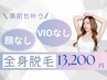 【美肌脱毛】全身脱毛※VIO、顔無し 13200