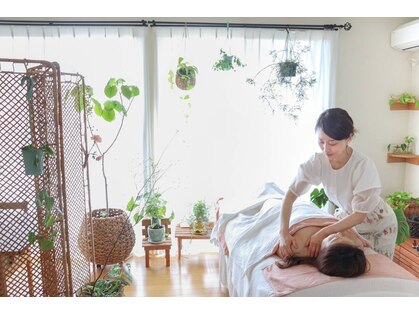 エノハ(enoha)の写真