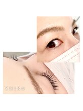 シロ(SHIRO)/アップワードラッシュ120本